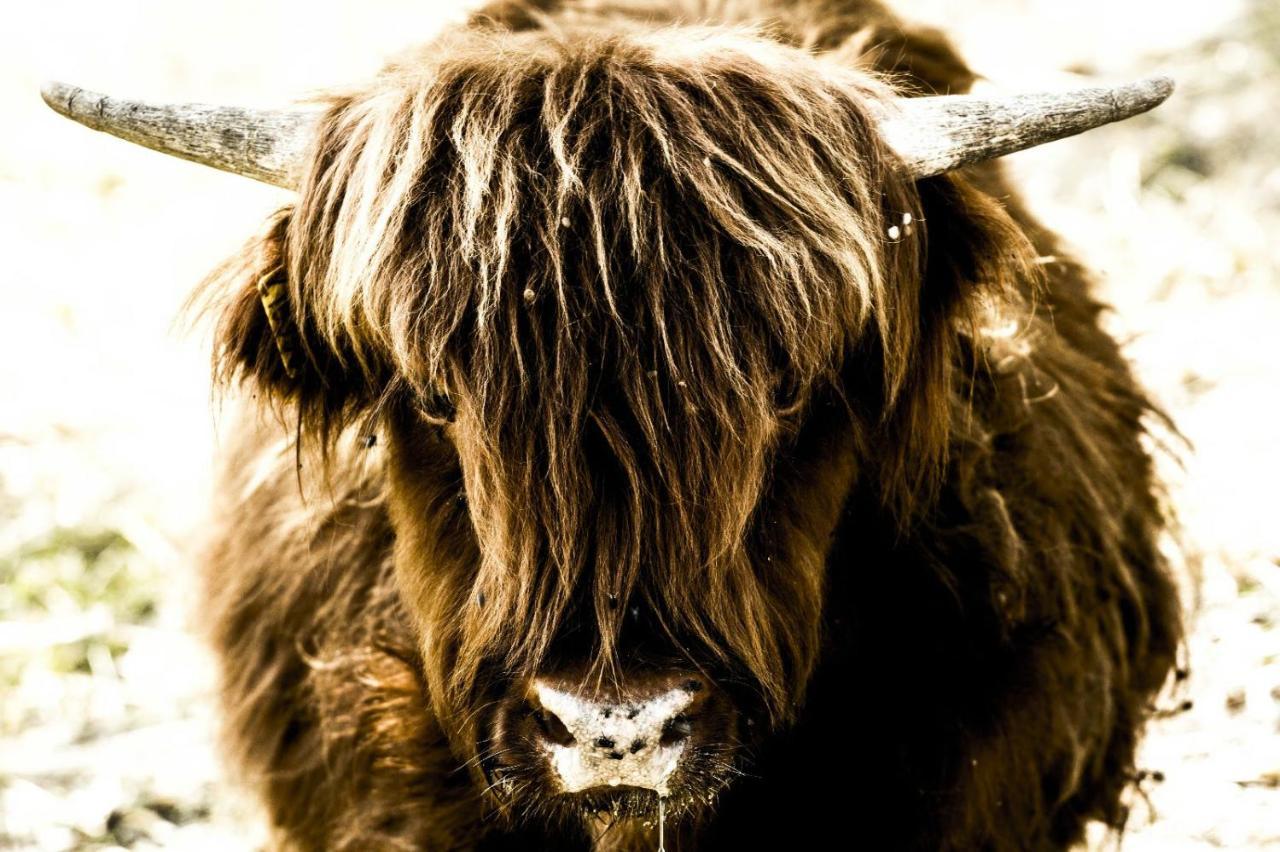 Montanari Agrivillage Narni Zewnętrze zdjęcie