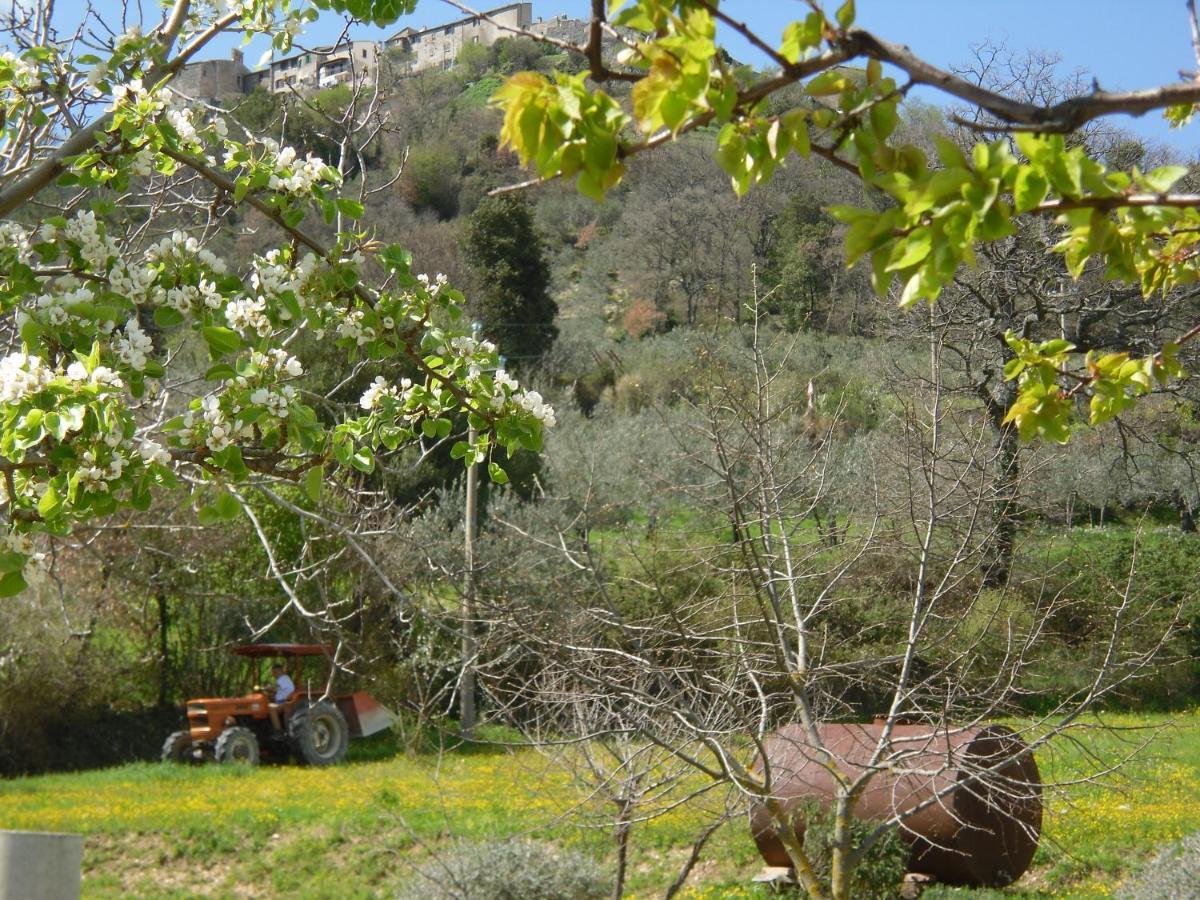Montanari Agrivillage Narni Zewnętrze zdjęcie