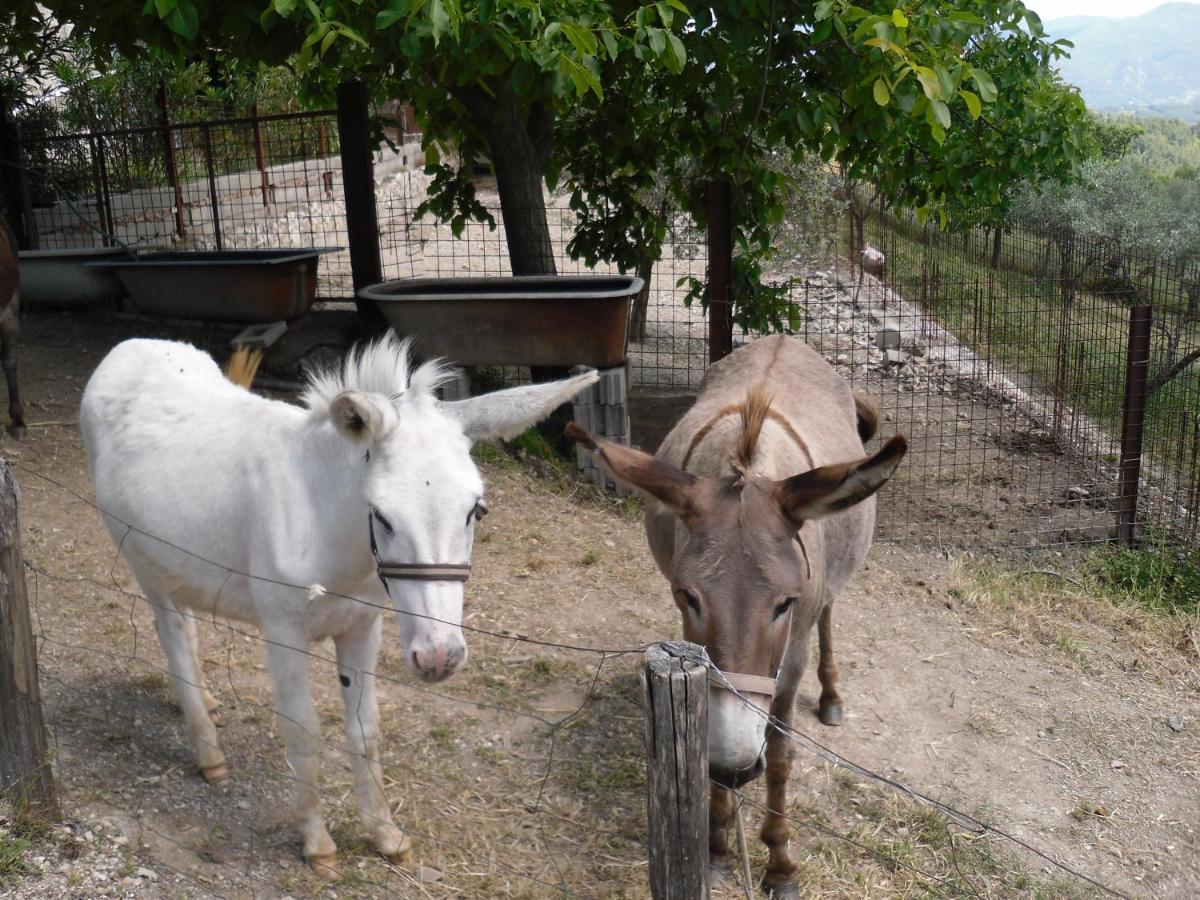 Montanari Agrivillage Narni Zewnętrze zdjęcie