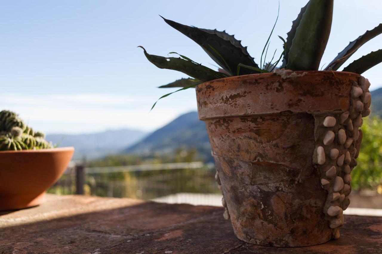 Montanari Agrivillage Narni Zewnętrze zdjęcie