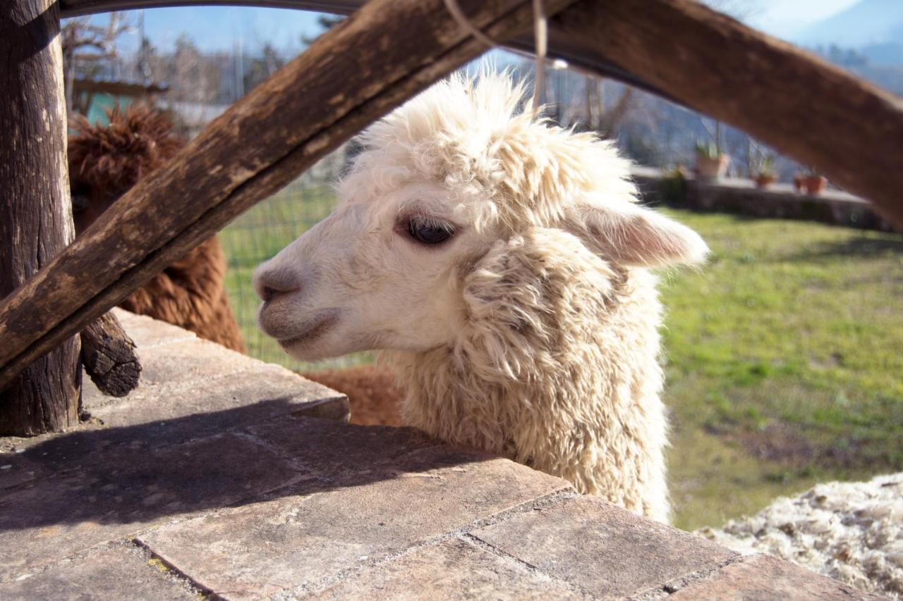 Montanari Agrivillage Narni Zewnętrze zdjęcie