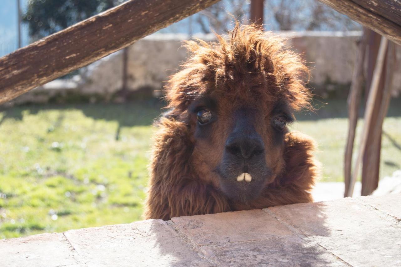 Montanari Agrivillage Narni Zewnętrze zdjęcie